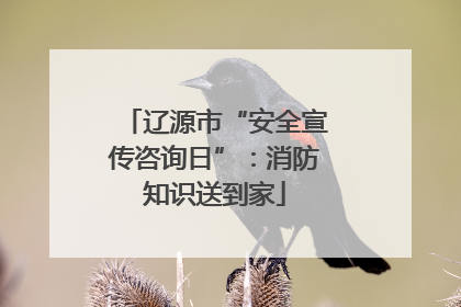辽源市“安全宣传咨询日”：消防知识送到家
