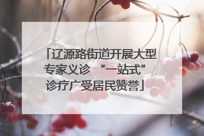 辽源路街道开展大型专家义诊 “一站式”诊疗广受居民赞誉