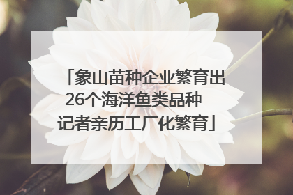 象山苗种企业繁育出26个海洋鱼类品种 记者亲历工厂化繁育