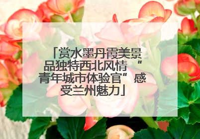 赏水墨丹霞美景 品独特西北风情 “青年城市体验官”感受兰州魅力