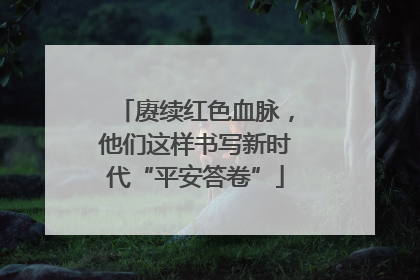赓续红色血脉，他们这样书写新时代“平安答卷”
