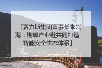 赛力斯集团董事长张兴海：期望产业链共同打造智能安全生态体系