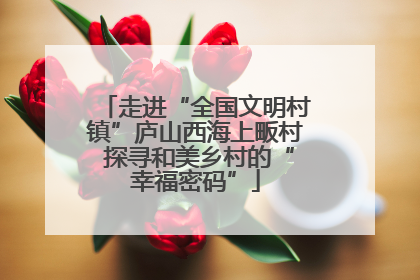 走进“全国文明村镇”庐山西海上畈村 探寻和美乡村的“幸福密码”