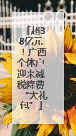 超38亿元！广西个体户迎来减税降费“大礼包”