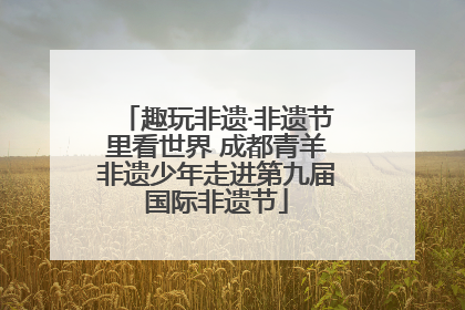 趣玩非遗·非遗节里看世界 成都青羊非遗少年走进第九届国际非遗节