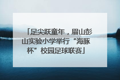 足尖跃童年，眉山彭山实验小学举行“海豚杯”校园足球联赛