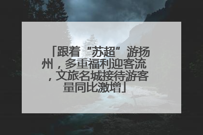 跟着“苏超”游扬州，多重福利迎客流，文旅名城接待游客量同比激增