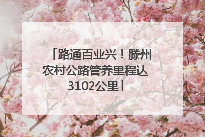 路通百业兴！滕州农村公路管养里程达3102公里