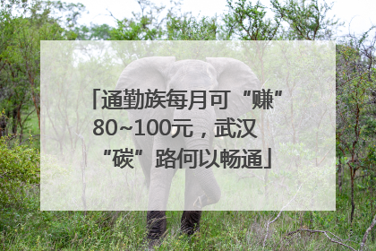 通勤族每月可“赚”80~100元，武汉“碳”路何以畅通