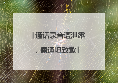通话录音遭泄露，佩通坦致歉