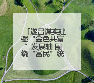 遂昌谋实建强“金色共富”发展轴 围绕“富民”统筹做好“三篇文章”