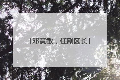 邓慧敏，任副区长