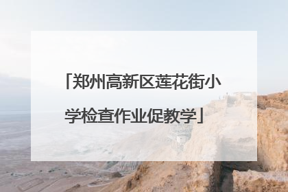 郑州高新区莲花街小学检查作业促教学