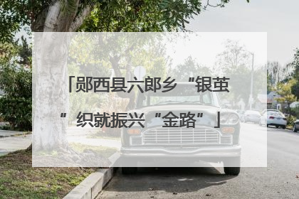 郧西县六郎乡“银茧”织就振兴“金路”