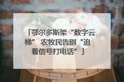 鄂尔多斯架“数字云梯” 农牧民告别“追着信号打电话”