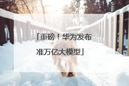 重磅！华为发布准万亿大模型
