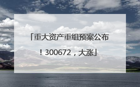 重大资产重组预案公布！300672，大涨