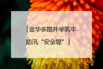 金华多措并举筑牢防汛“安全堤”