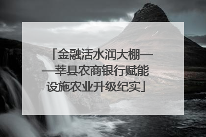 金融活水润大棚——莘县农商银行赋能设施农业升级纪实