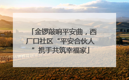 金锣敲响平安曲，西厂口社区“平安合伙人”携手共筑幸福家