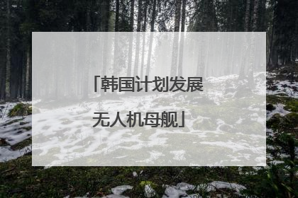 韩国计划发展无人机母舰