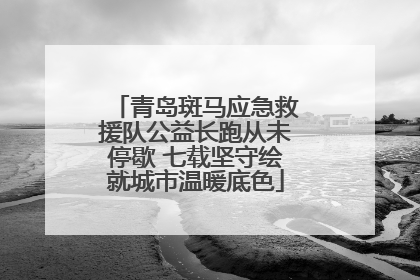 青岛斑马应急救援队公益长跑从未停歇 七载坚守绘就城市温暖底色