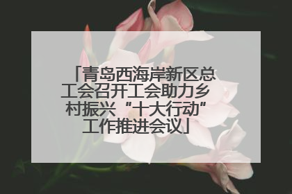 青岛西海岸新区总工会召开工会助力乡村振兴“十大行动”工作推进会议