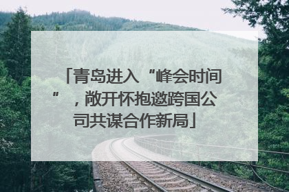 青岛进入“峰会时间”，敞开怀抱邀跨国公司共谋合作新局