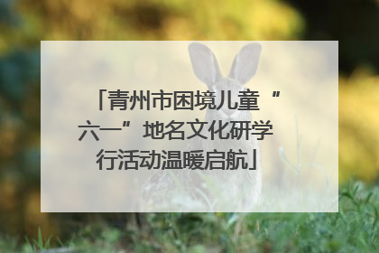 青州市困境儿童“六一”地名文化研学行活动温暖启航