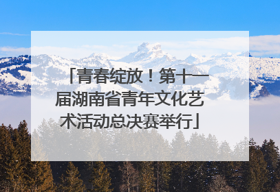 青春绽放！第十一届湖南省青年文化艺术活动总决赛举行