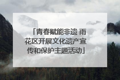 青春赋能非遗 雨花区开展文化遗产宣传和保护主题活动