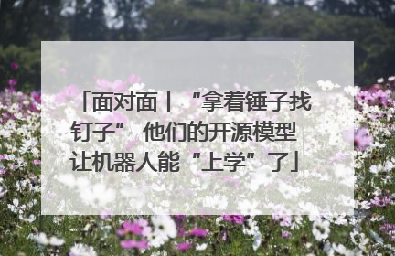 面对面丨“拿着锤子找钉子” 他们的开源模型让机器人能“上学”了