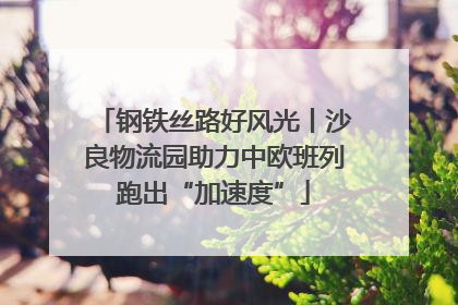 钢铁丝路好风光丨沙良物流园助力中欧班列跑出“加速度”