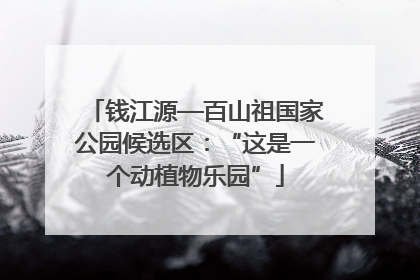 钱江源—百山祖国家公园候选区：“这是一个动植物乐园”