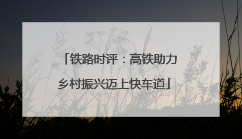 铁路时评：高铁助力乡村振兴迈上快车道