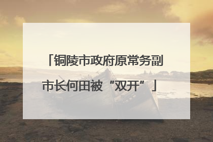 铜陵市政府原常务副市长何田被“双开”