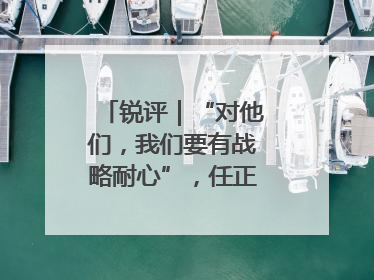 锐评｜“对他们，我们要有战略耐心”，任正非给谁提了醒