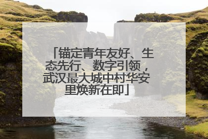 锚定青年友好、生态先行、数字引领，武汉最大城中村华安里焕新在即