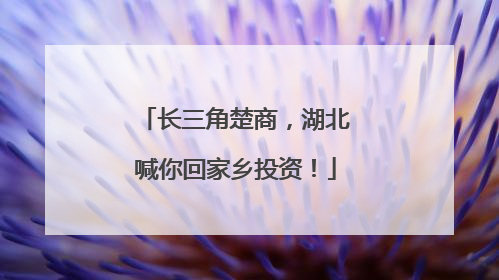 长三角楚商，湖北喊你回家乡投资！
