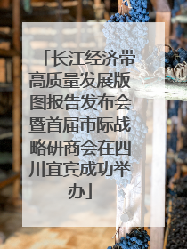 长江经济带高质量发展版图报告发布会暨首届市际战略研商会在四川宜宾成功举办