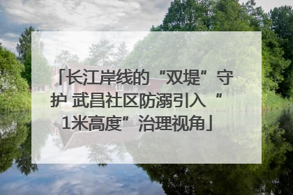 长江岸线的“双堤”守护 武昌社区防溺引入“1米高度”治理视角
