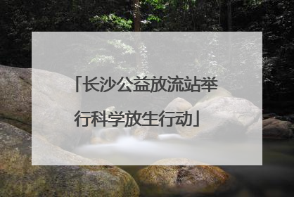 长沙公益放流站举行科学放生行动