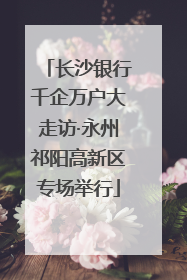 长沙银行千企万户大走访·永州祁阳高新区专场举行
