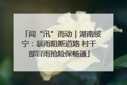 闻“汛”而动｜湖南绥宁：暴雨阻断道路 村干部冒雨抢险保畅通