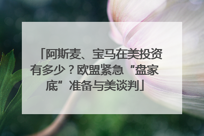 阿斯麦、宝马在美投资有多少？欧盟紧急“盘家底”准备与美谈判