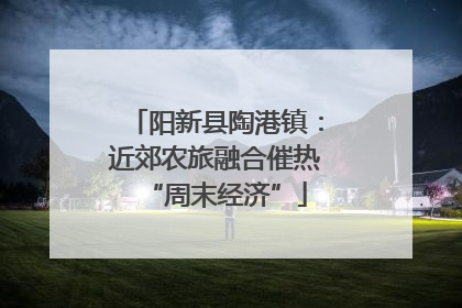阳新县陶港镇：近郊农旅融合催热“周末经济”