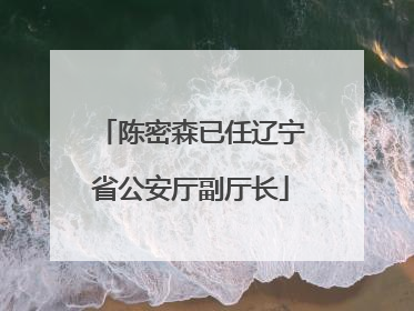 陈密森已任辽宁省公安厅副厅长