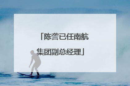 陈詟已任南航集团副总经理