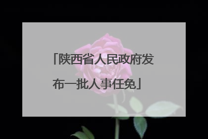 陕西省人民政府发布一批人事任免