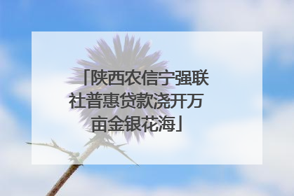 陕西农信宁强联社普惠贷款浇开万亩金银花海